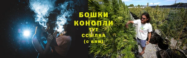 СК Покровск