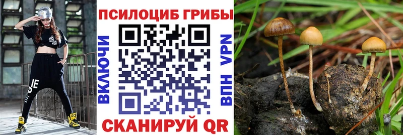 Галлюциногенные грибы Psilocybine cubensis  продажа наркотиков  Снежинск 