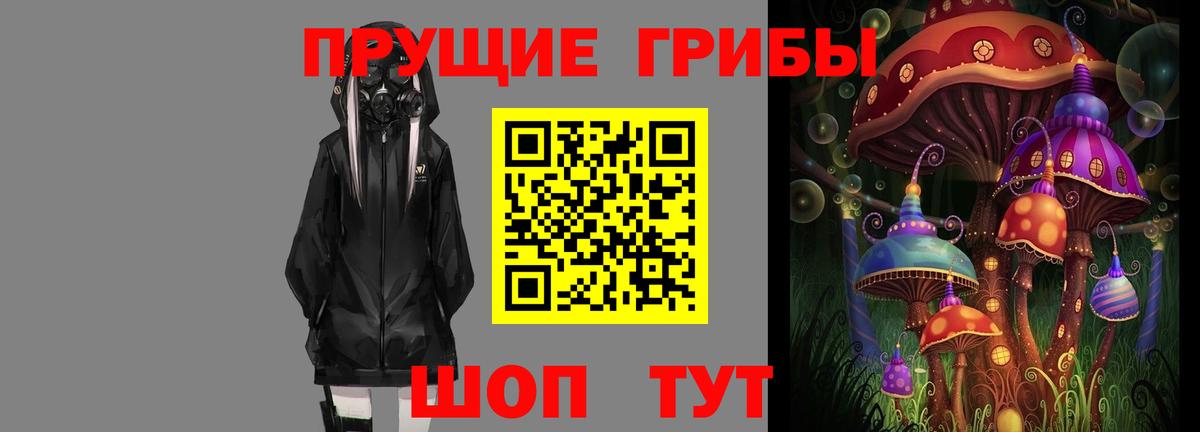 купить наркотики цена  Псилоцибиновые грибы Cubensis  Вход с VPN  Псилоцибиновые грибы Psilocybe  Снежинск 